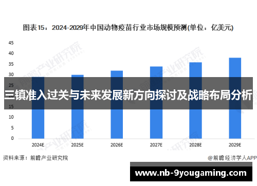 三镇准入过关与未来发展新方向探讨及战略布局分析