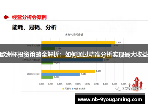 欧洲杯投资策略全解析：如何通过精准分析实现最大收益