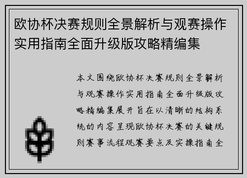 欧协杯决赛规则全景解析与观赛操作实用指南全面升级版攻略精编集